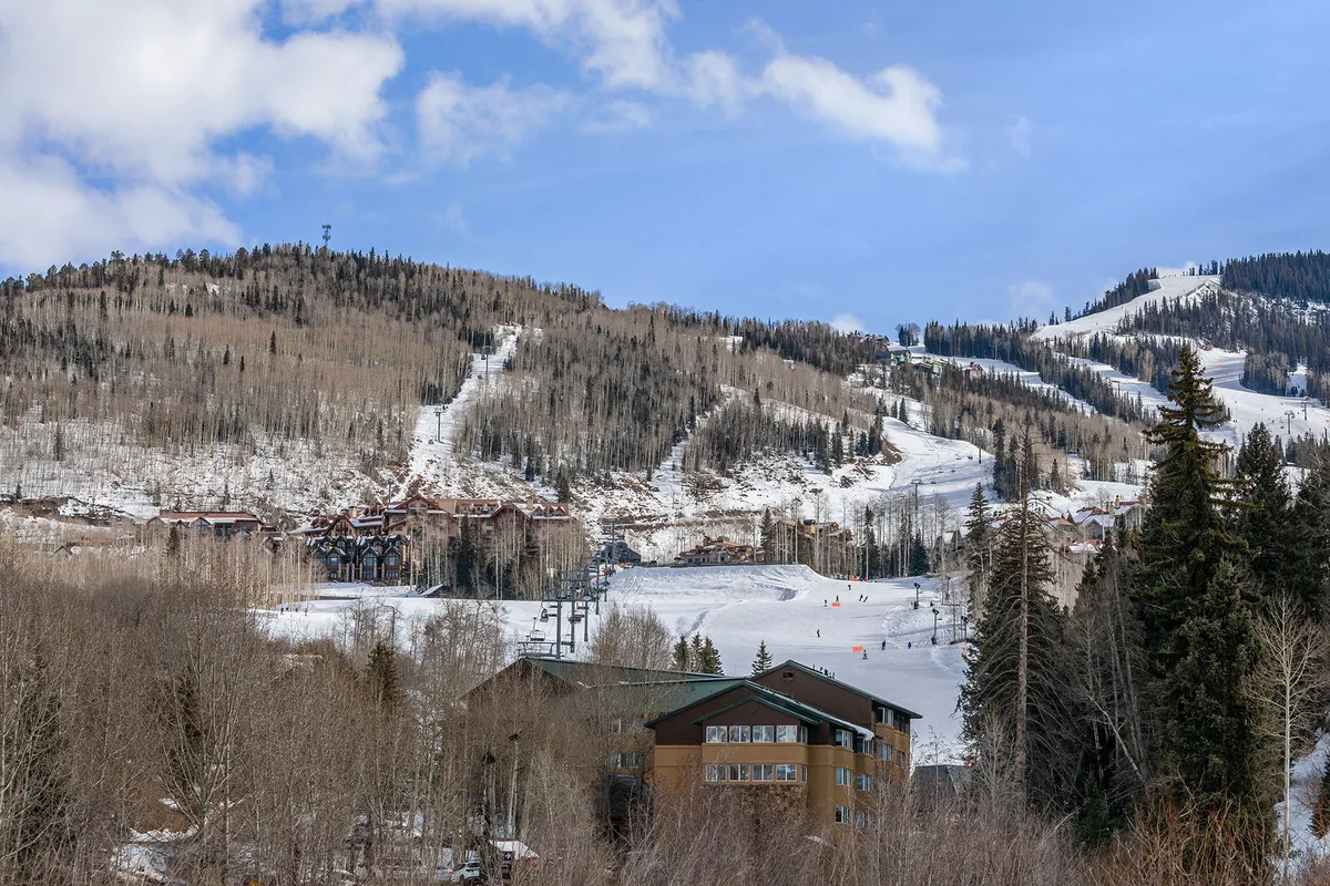 A sweeping view of snowy slopes with skiers and snowboarders descending, cozy hillside cabins nestled among evergreen trees, and a sense of adventure in the crisp winter air.